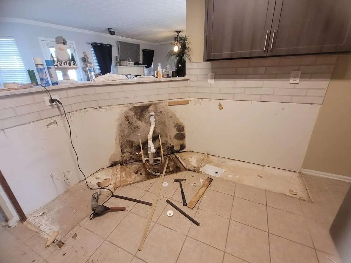Mold behind wall with plumbing during Flood Damage Cleanup in Oak Brook